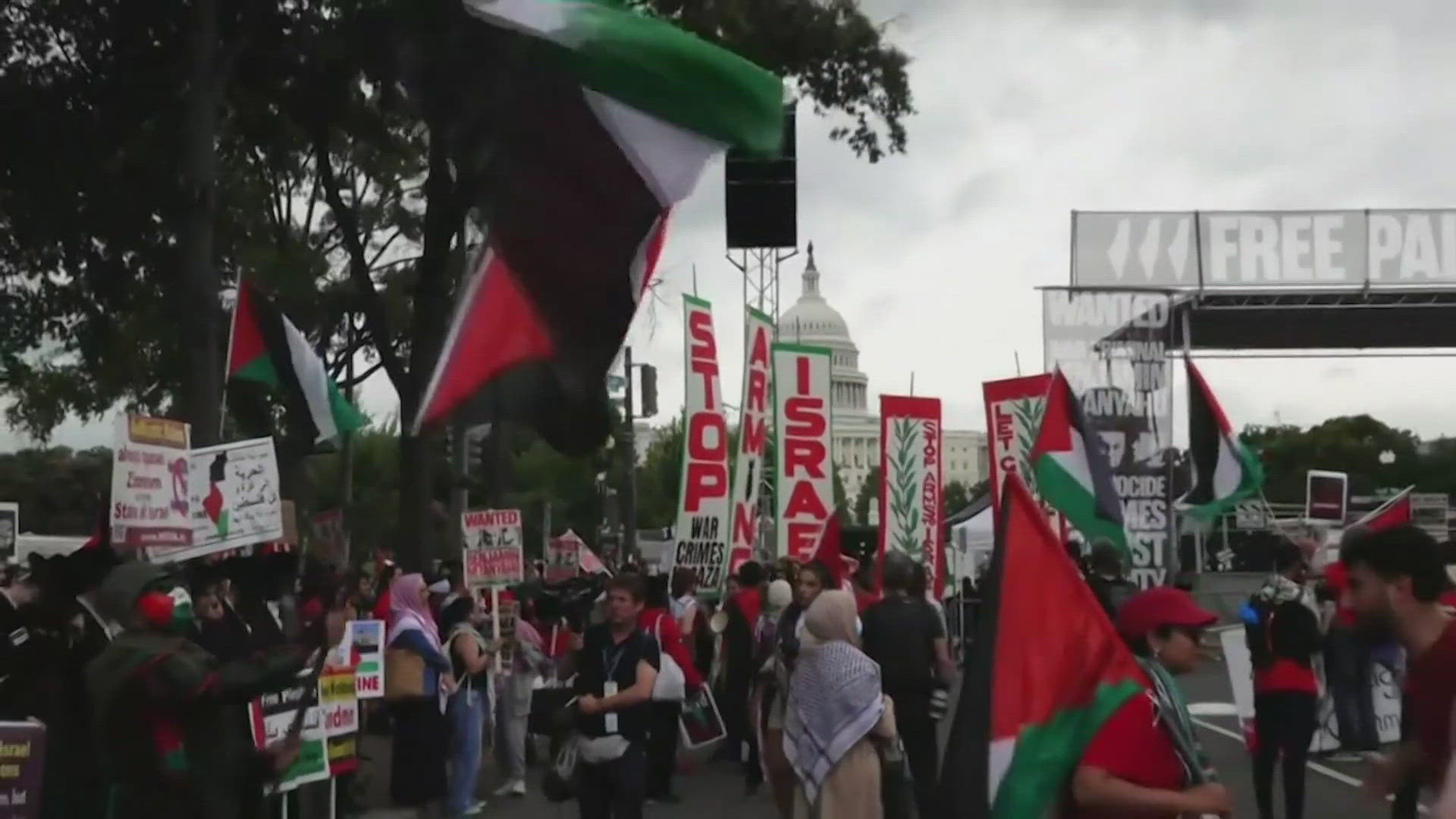 Pro-Palestinian protestors were sprayed with tear gas in Washington D.C. while Israel's Prime Minister Benjamin Netanyahu addressed Congress.