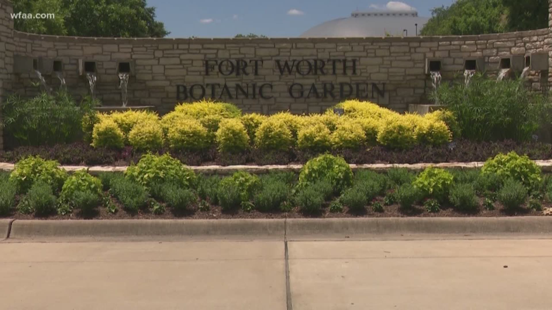 Just because the Fort Worth Botanic Garden is going to start charging doesn't mean you have to pay.