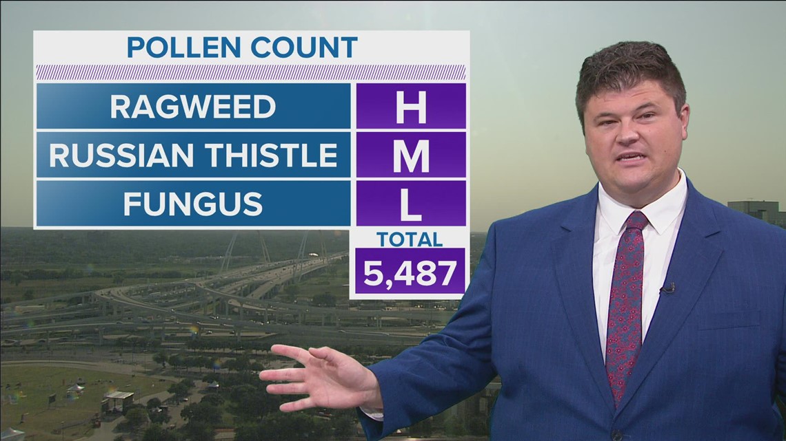 Pollen count in North Texas on Friday includes Russian thistle