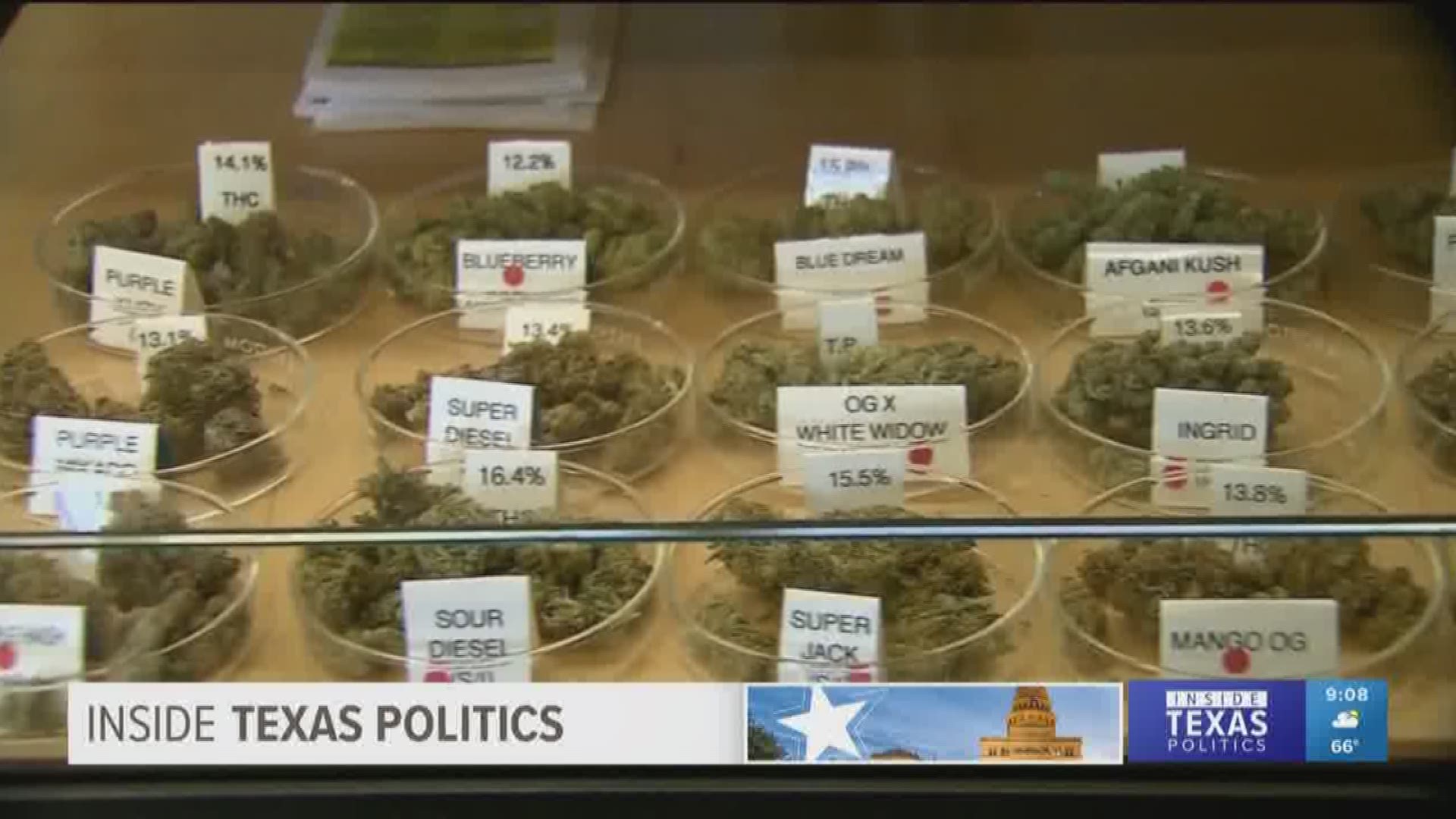 The Texas House approved a bill to reduce penalties for marijuana possession in the state. An offender caught with any amount under an ounce would get what amounts to a traffic ticket. The idea is popular among Democrats and Republicans nationwide. However, Lt. Gov. Dan Patrick opposes the bill and has said that he has no plans to pass it.