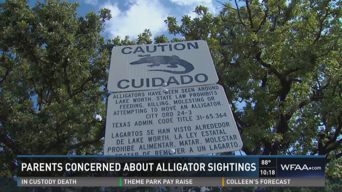 Parents on alert with alligators in Lake Worth