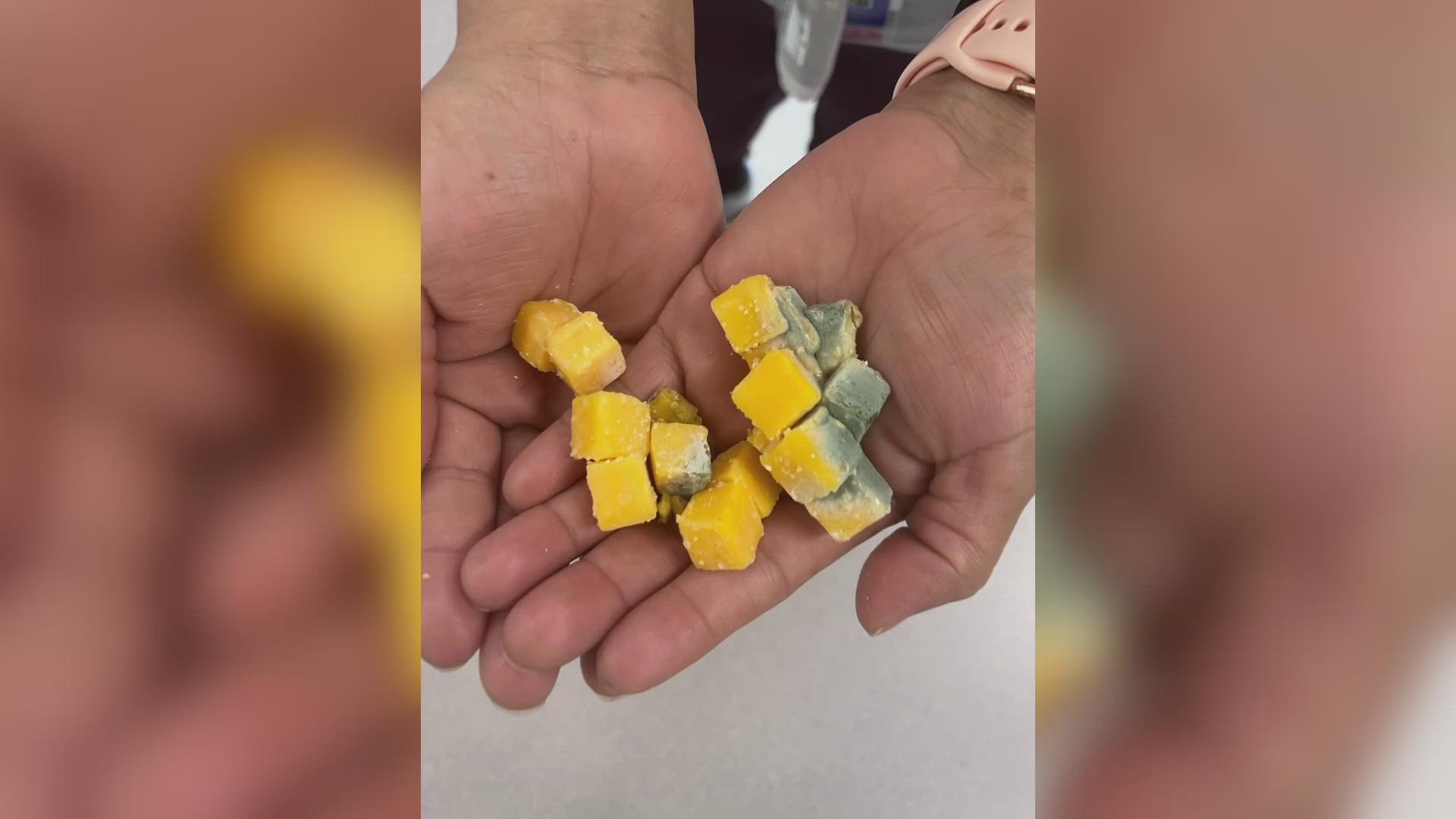 District officials said the student consumed a piece of the moldy cheese.