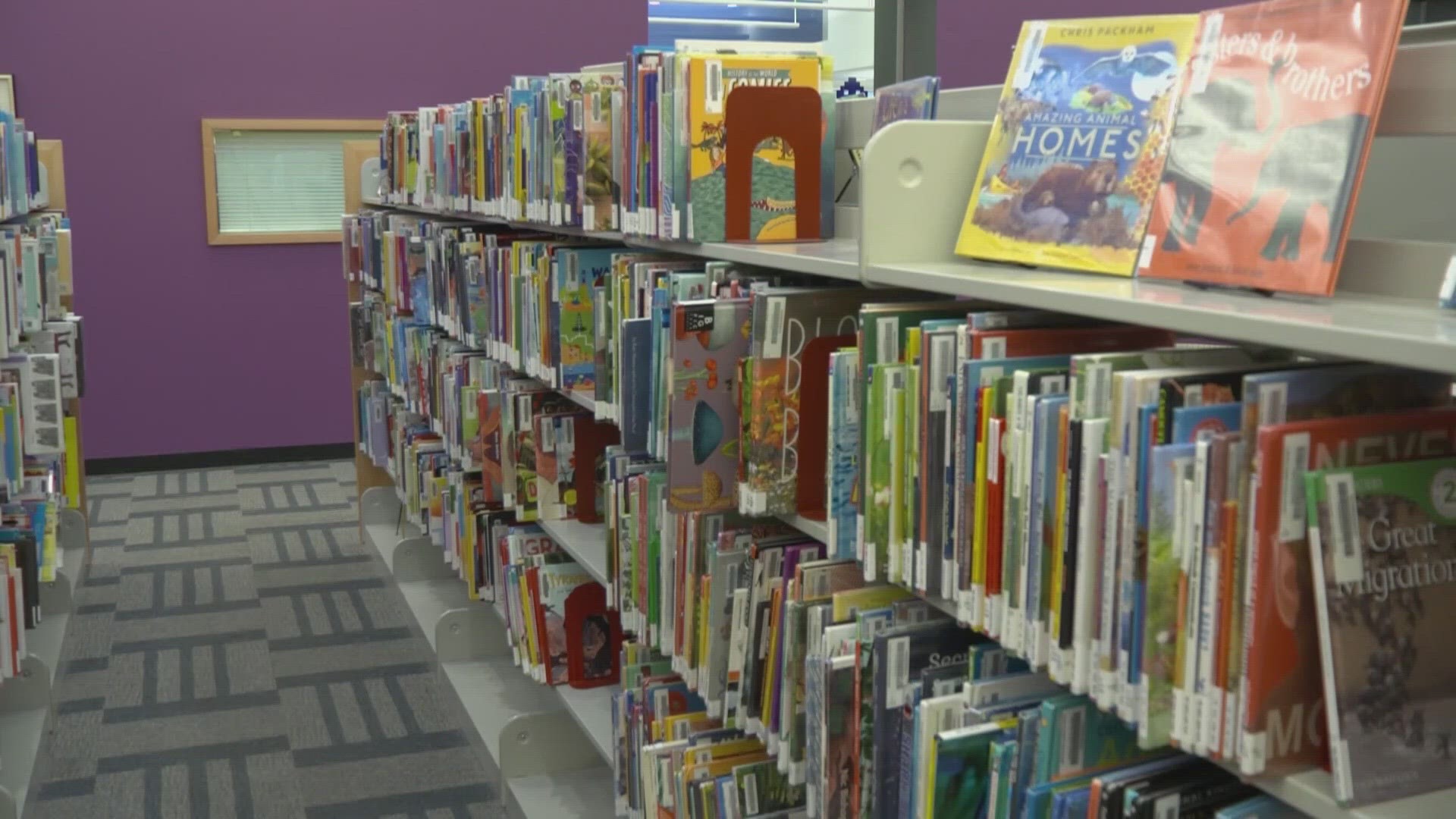 elementary school library shelves