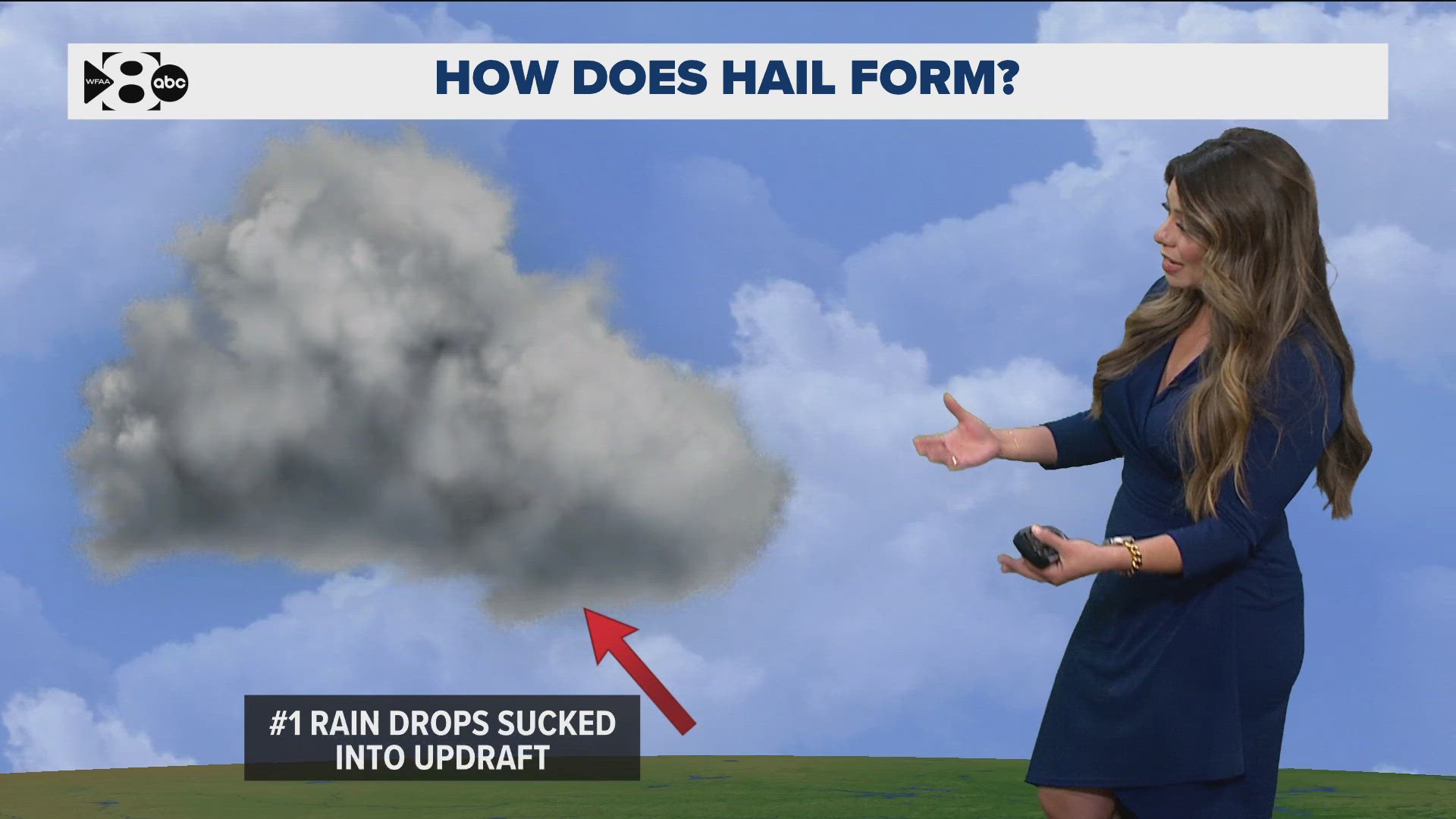 The storm injured dozens of people attending an outdoor festival in Tarrant County. 