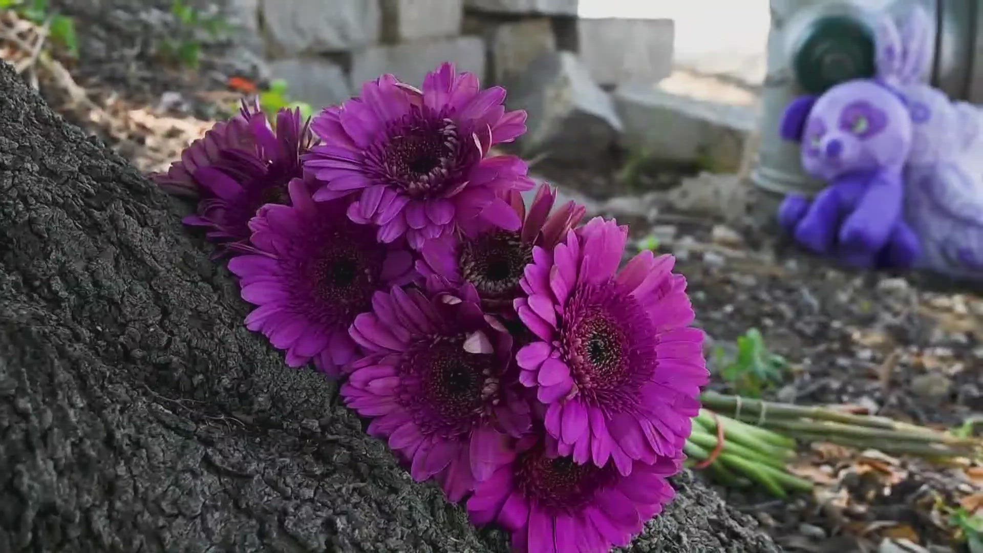 Friends and family members came together Friday to remember a 12-year old girl who was killed in a tragic accident.