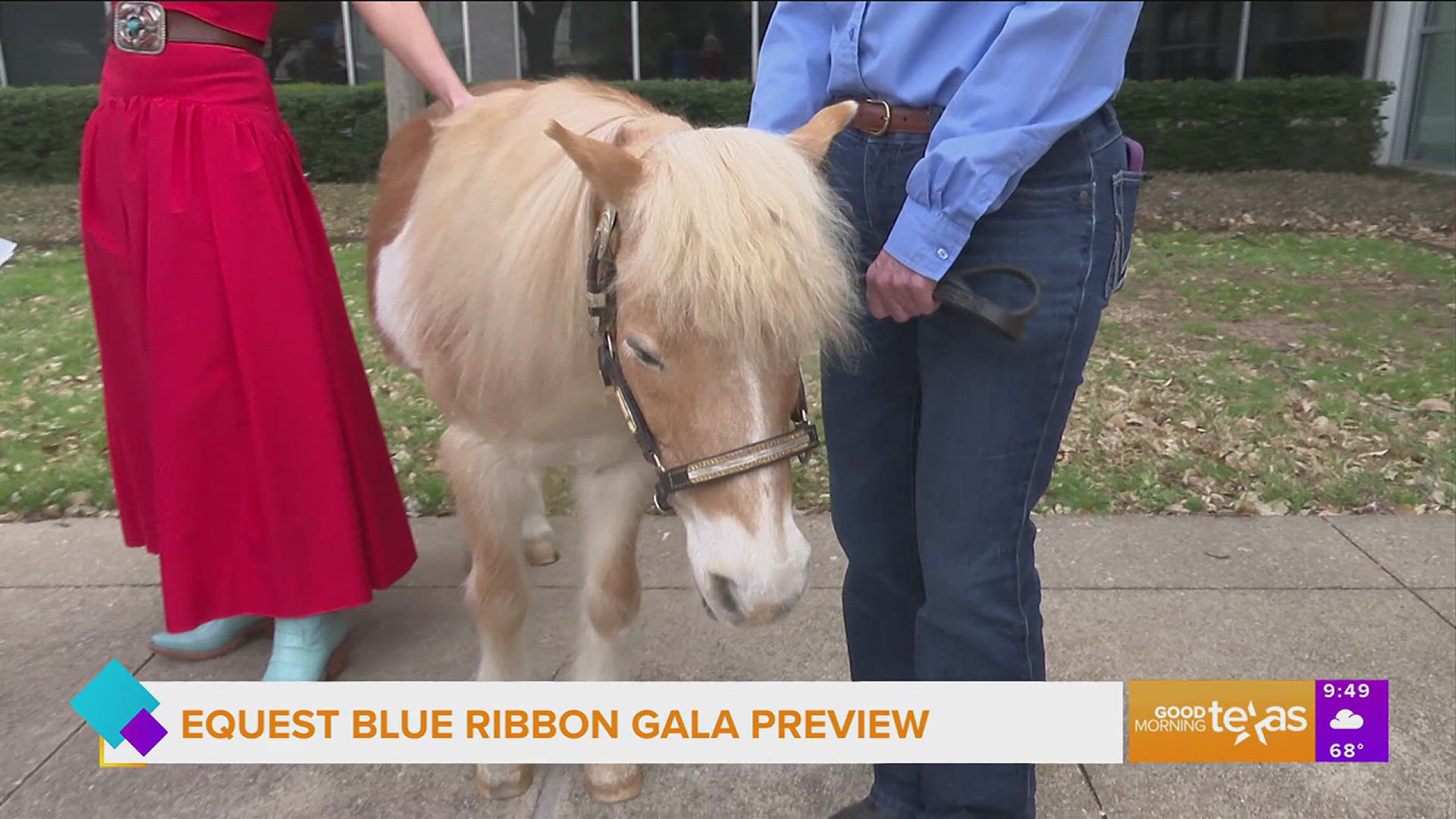 James and Kristin Hallam share details about the upcoming Equest Blue Ribbon Gala and they brought along mini horse, Dare. 
