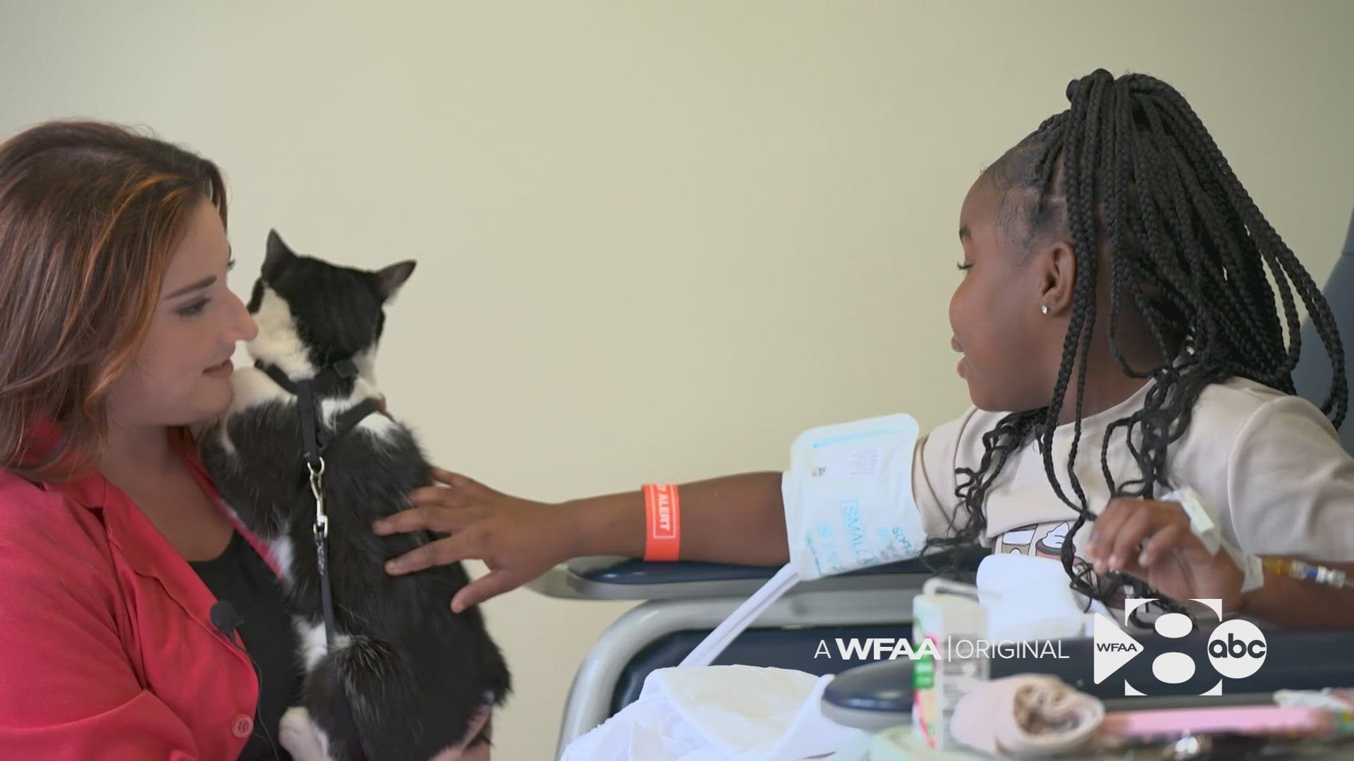 Scottish Rite for Children treats pediatric patients with orthopedic problems and limb differences. Harry the therapy cat has three legs.