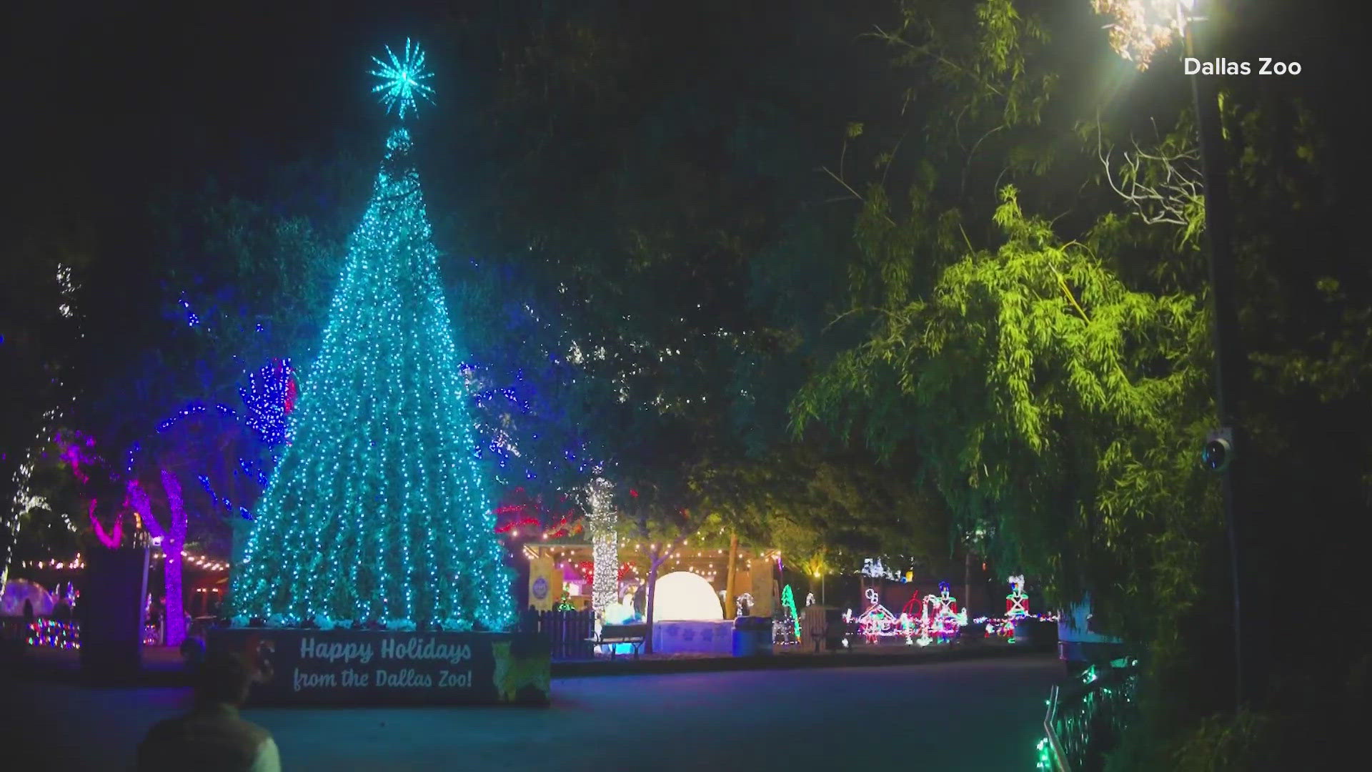 Dallas Zoo's COO Sean Greene joins WFAA.