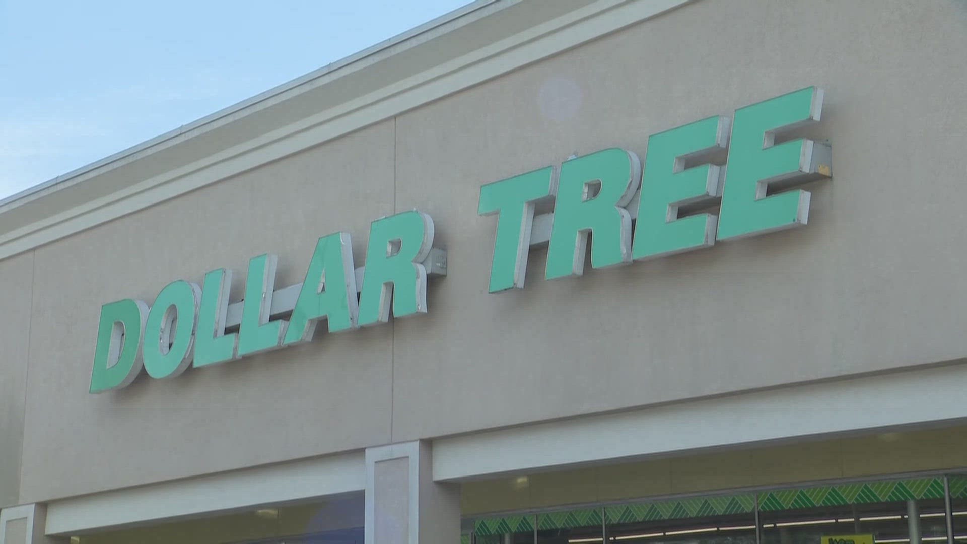 Dollar Tree acquired Family Dollar almost a decade ago after a bidding war with rival Dollar General, but it has had difficulty absorbing the chain.