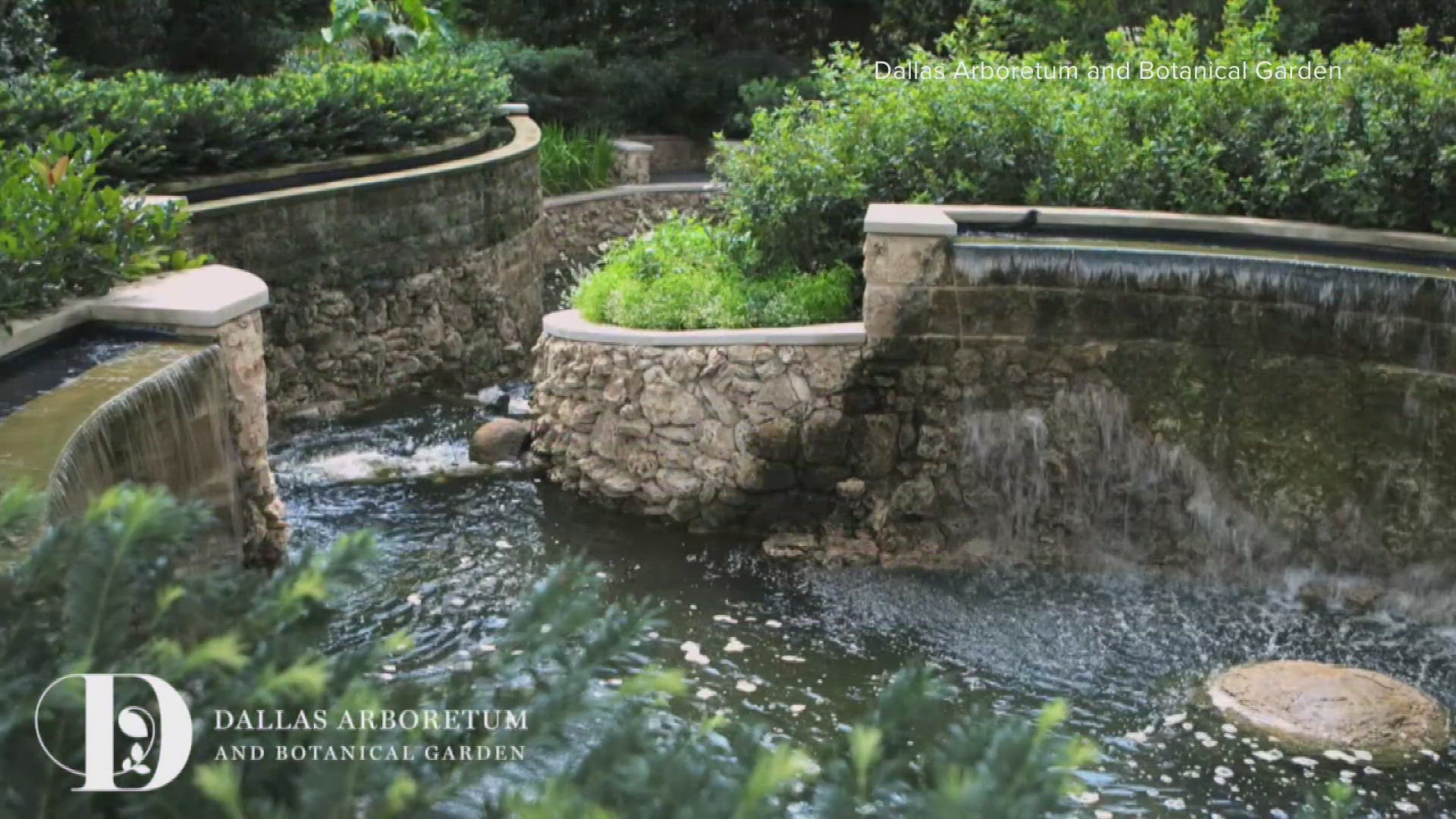 The CEO of Dallas Arboretum and Botanical Garden joins WFAA.