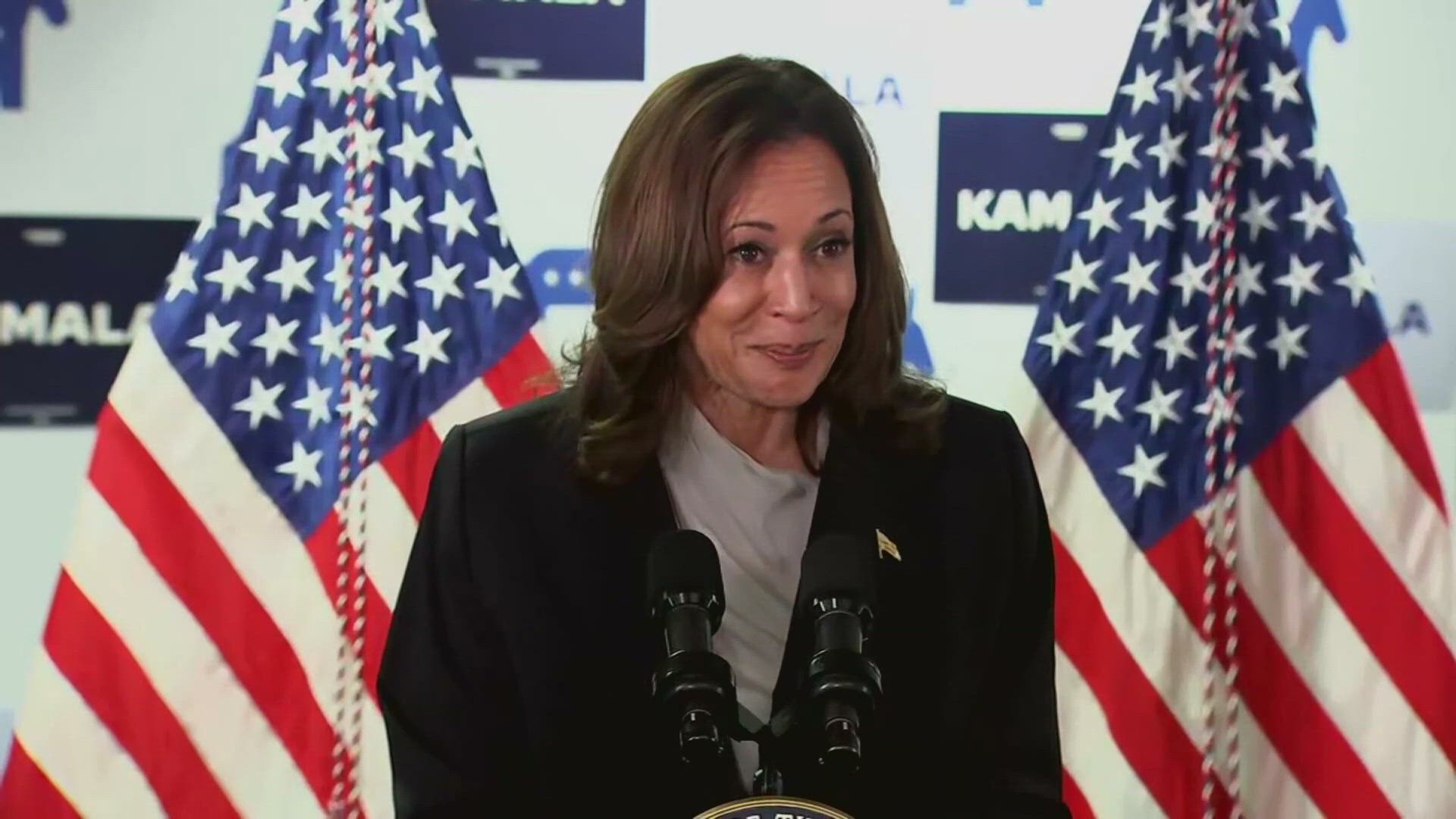 Kamala Harris Secures Sufficient Democratic Delegates for US Presidential Nomination