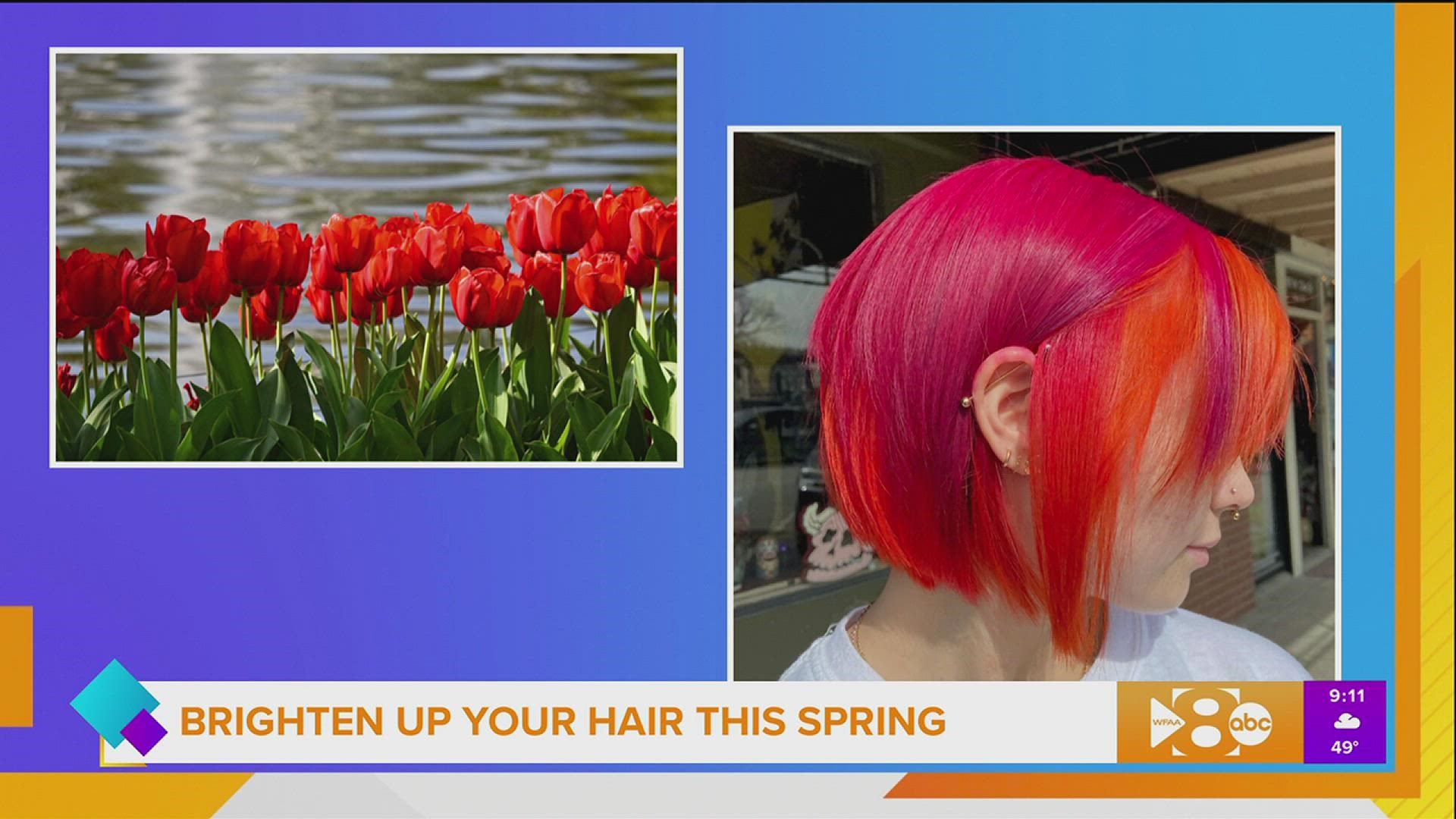 Vibrant & Bold Hair Color Vibrant & Bold Hair Color