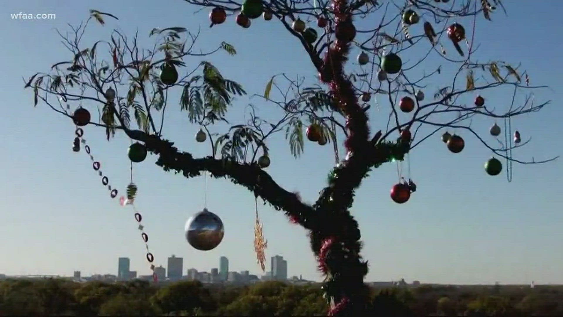 Fort Worth's 'Homeless Christmas Tree' takes root for second chapter