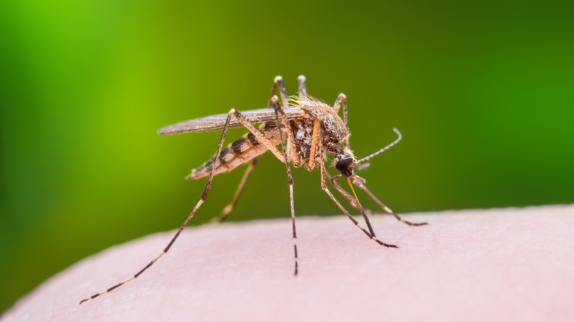 Arlington, Texas: Targeted ground spraying due to West Nile Virus - Vimarsana News