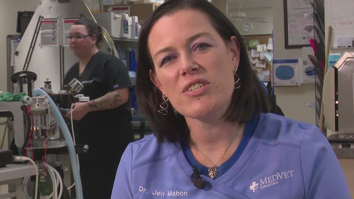 Dallas veterinarian explains the dangers of xylitol for your dog