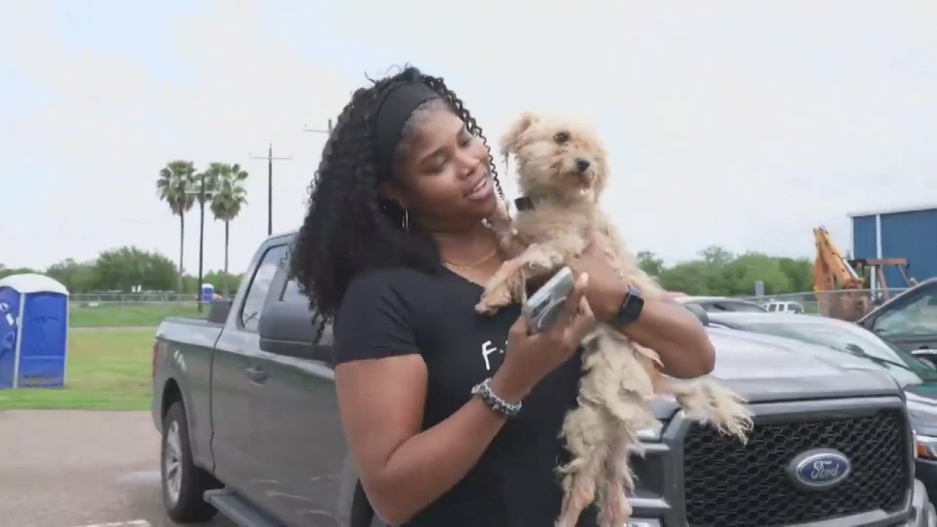 The dog ran away around a year ago, but was reunited with his owner.