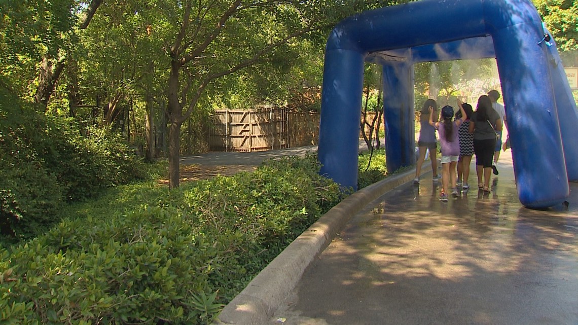 Thousands brave heat at Dallas Zoo for Dollar Day