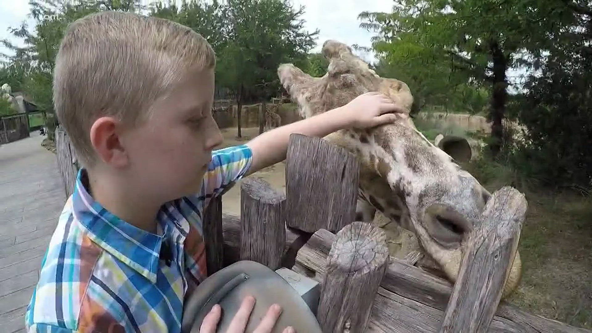 WFAA featured Conner in a Wednesday's Child segment in September.