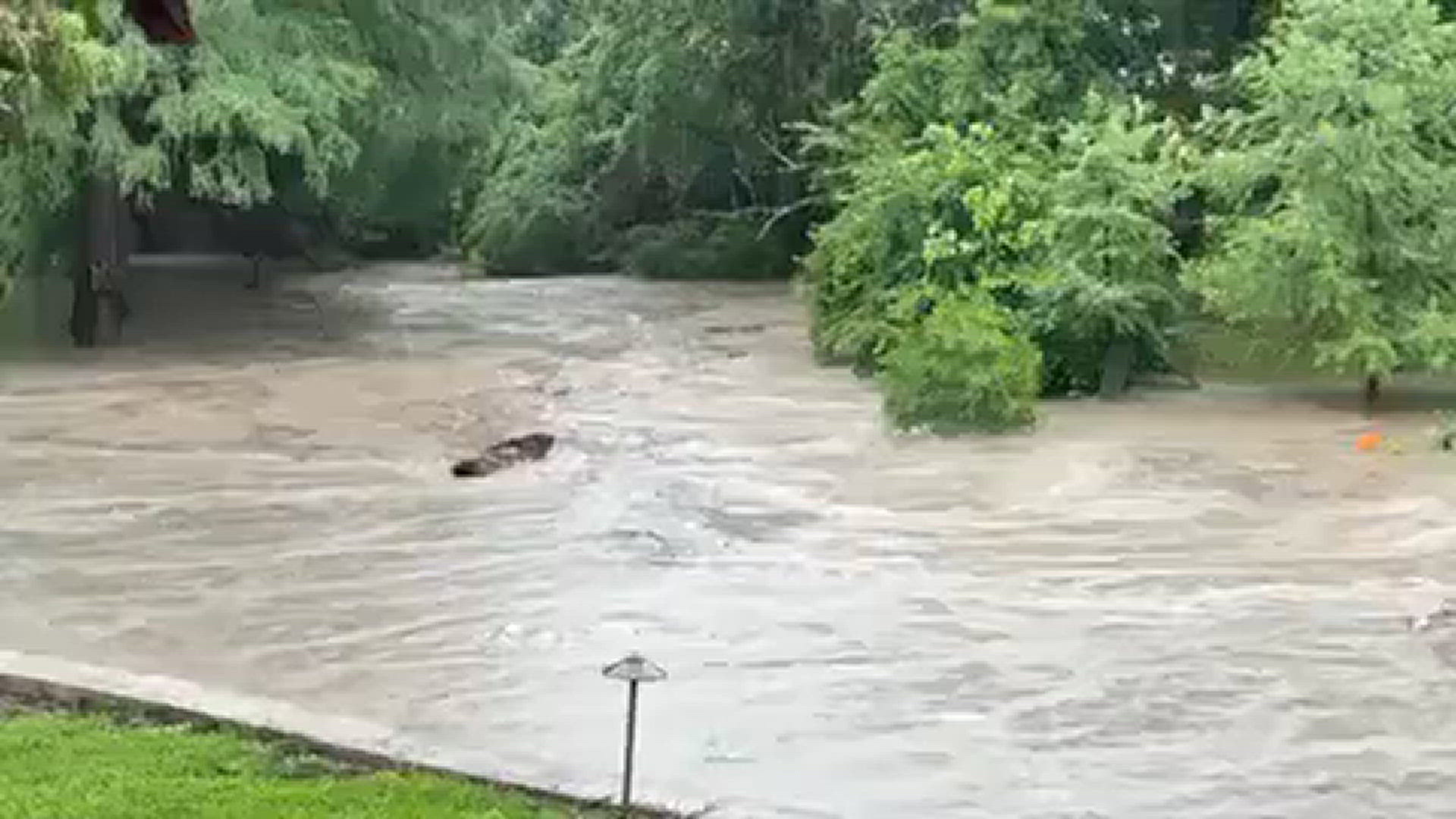 Creek flooding in North Texas | wfaa.com