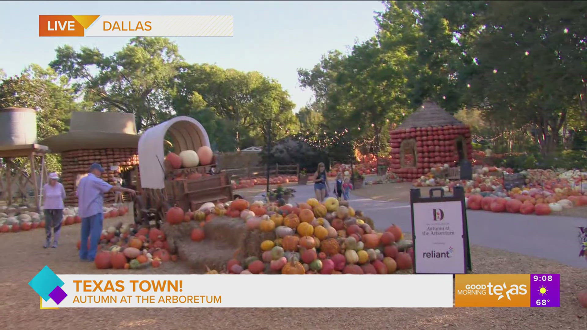 Paige takes us on a tour of autumn at the Dallas Arboretum.