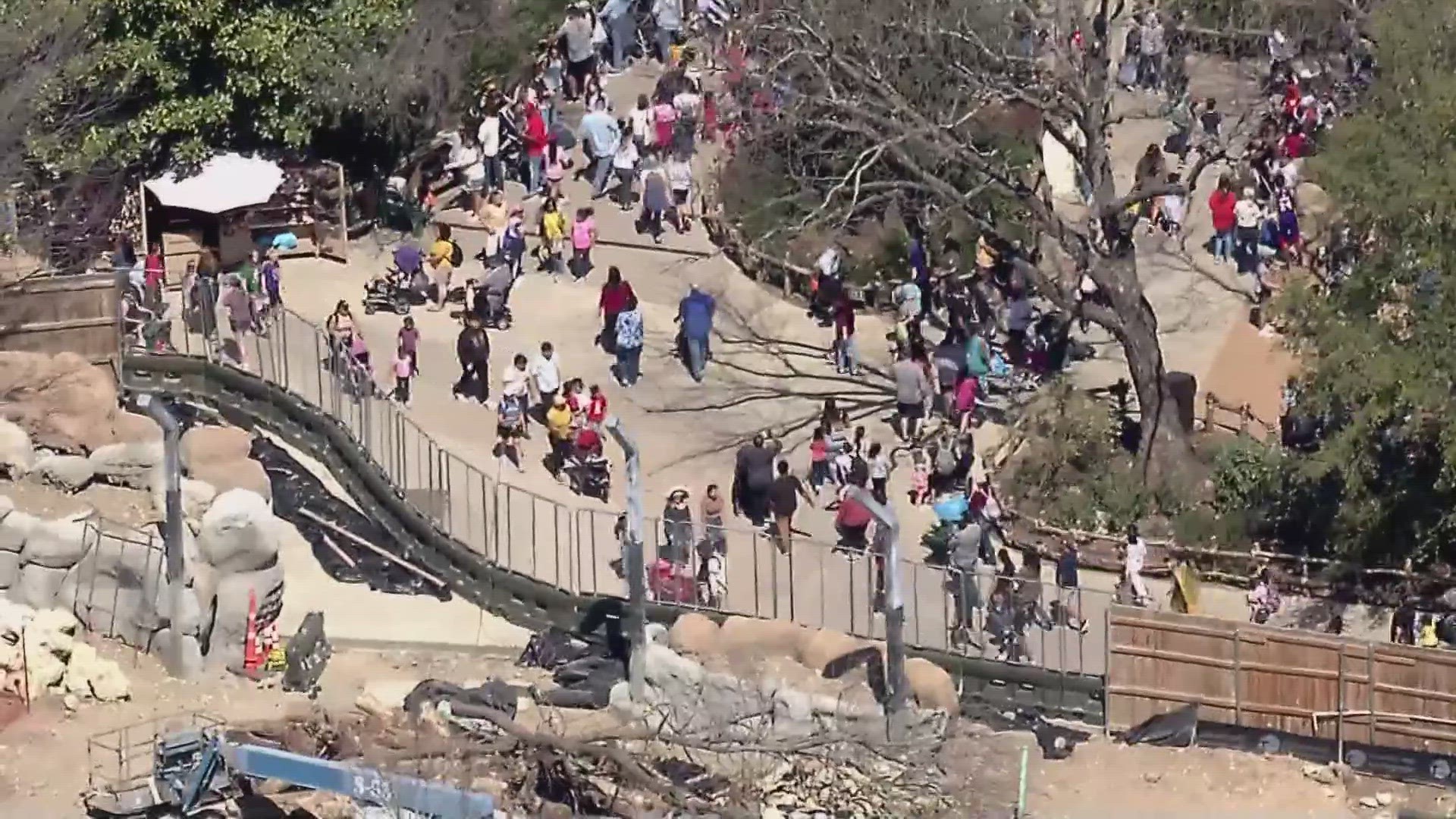 Fort Worth Zoo Extra security expected to help traffic flow during Wednesday discount day