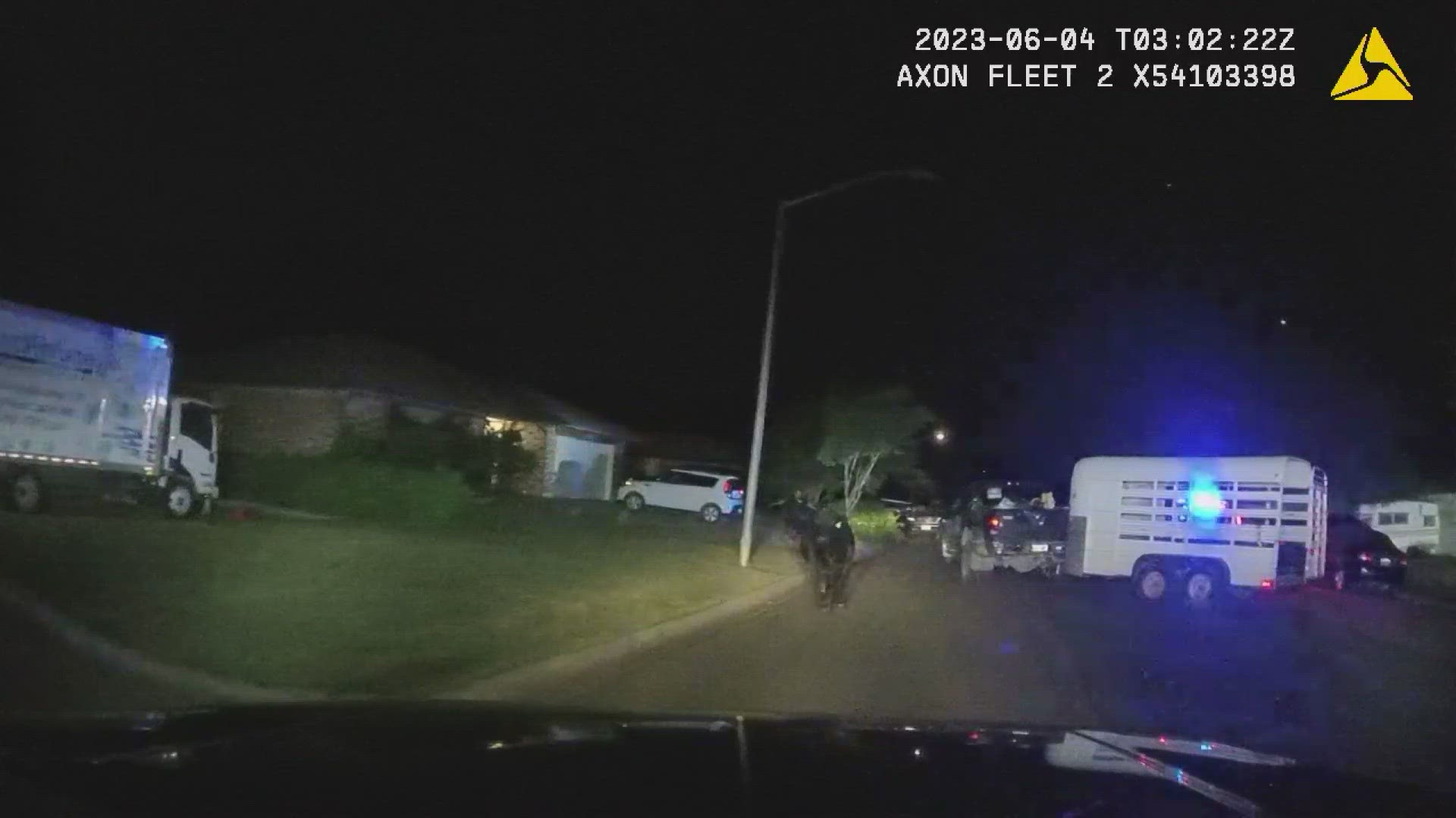 Police in Denton, Texas say the bull was "quite agitated" and was refusing to get back onto a cattle trailer.