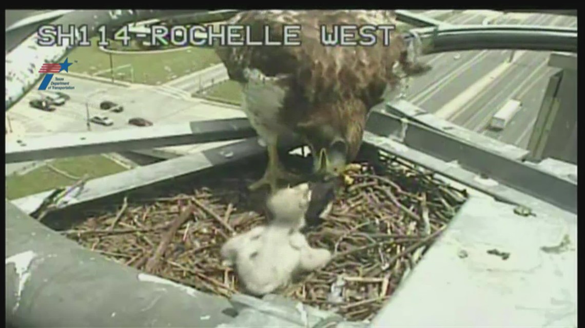 Texas boil water orders What should you do when the notice ends