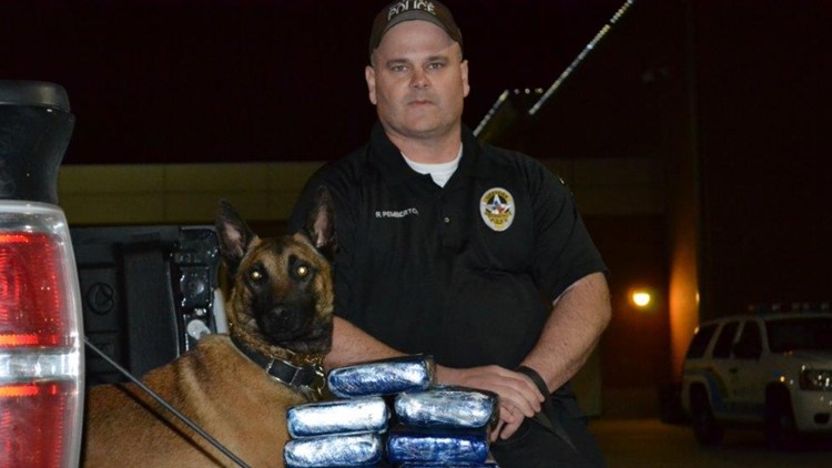 Complete with 'pawbearers,' Final Bow to honor K-9 officer | wfaa.com