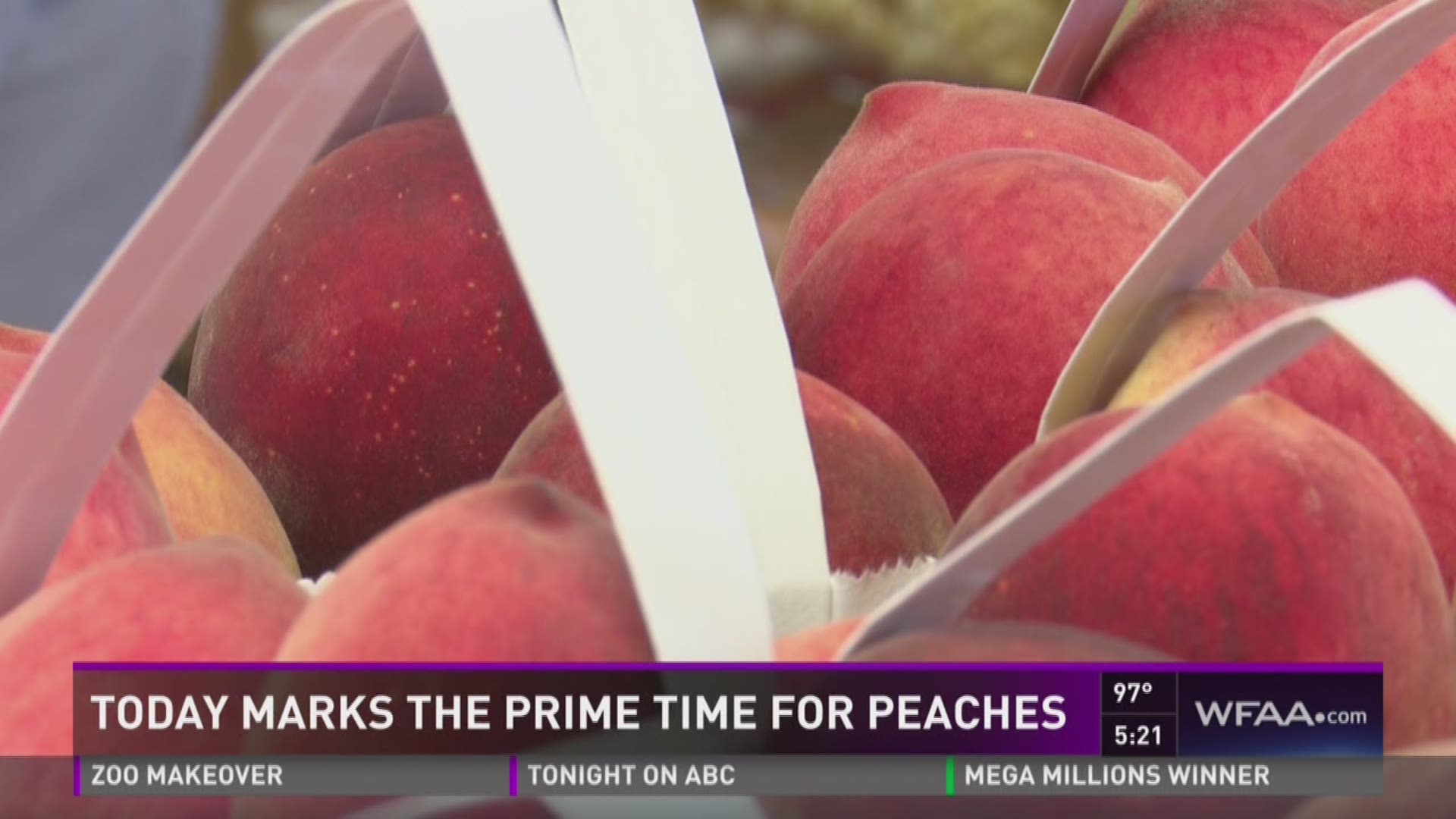 Today marks the prime time for peaches