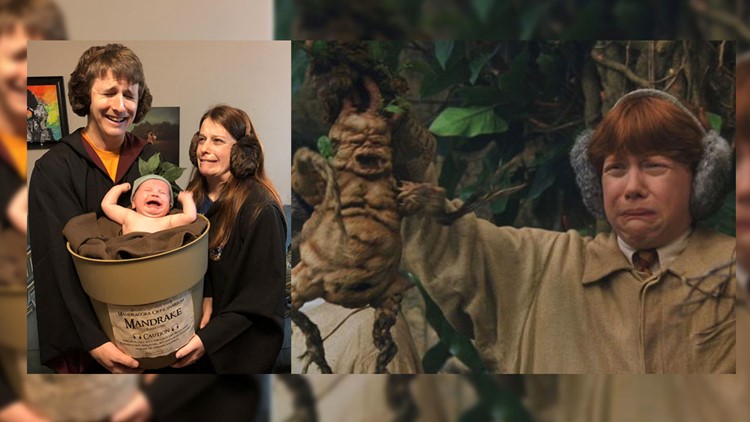 It S A Crying Mandrake Frisco Family S Harry Potter Costume Pic Goes Viral Wfaa Com