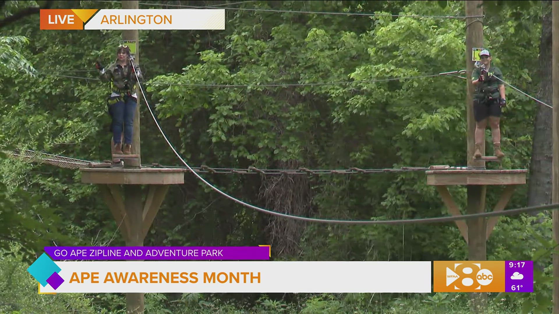 Paige takes us to Go Ape Ziplining and Adventure park for Ape Awareness Month and ahead of the release of the new movie 'Kingdom Of The Plant Of The Apes."