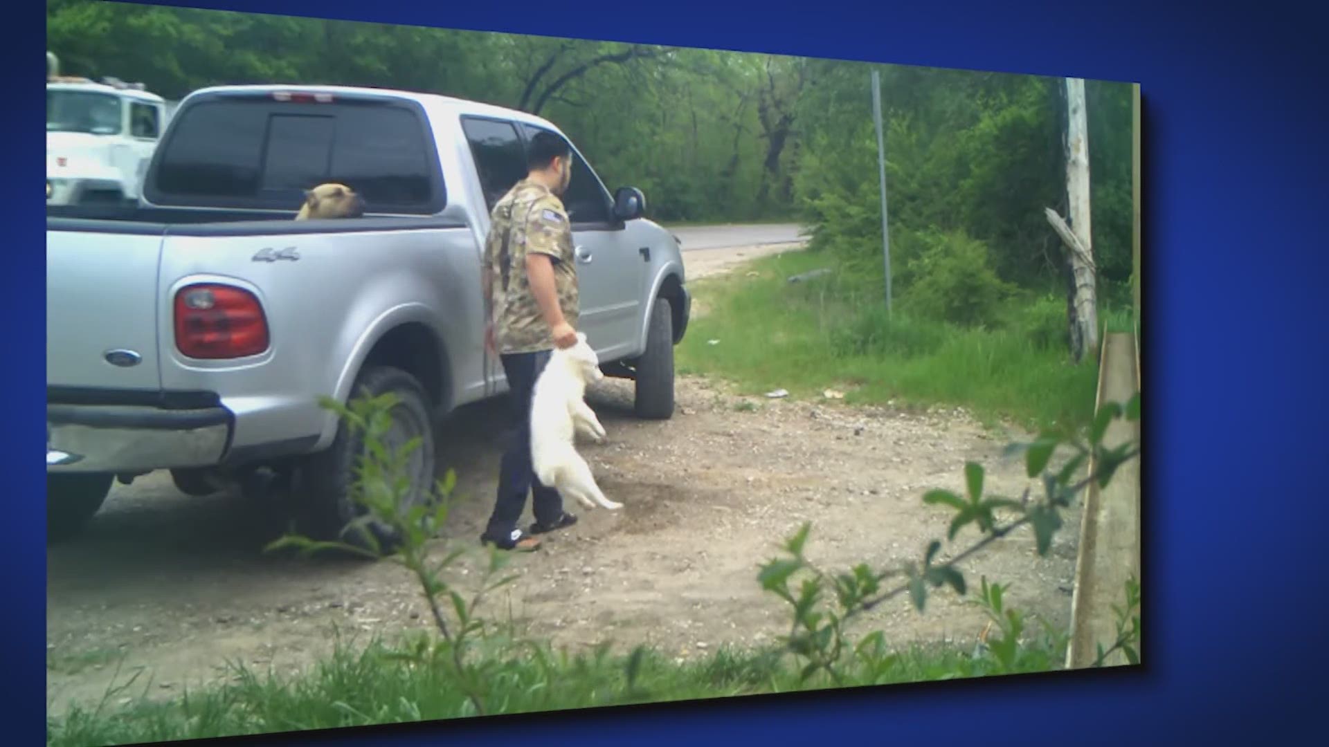 Officials said Sebastian Acosta, 20, was taken into custody and faces a charge of cruelty to non-livestock torture/kill, which is a third-degree felony.