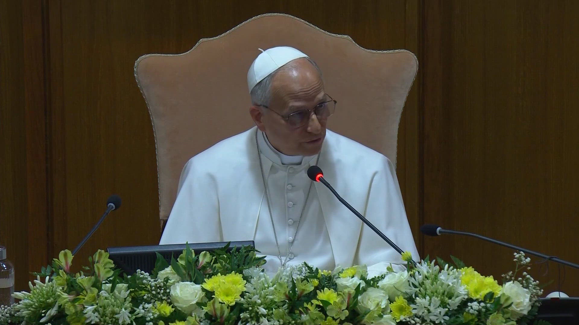 Pope Leo XIV says AI 'needs to be disarmed' | wfaa.com