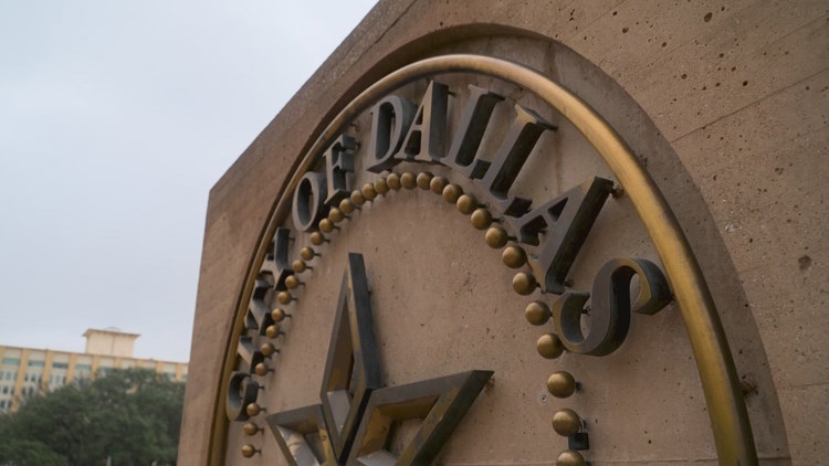Dallas police discuss efforts to reduce domestic violence crimes | wfaa.com