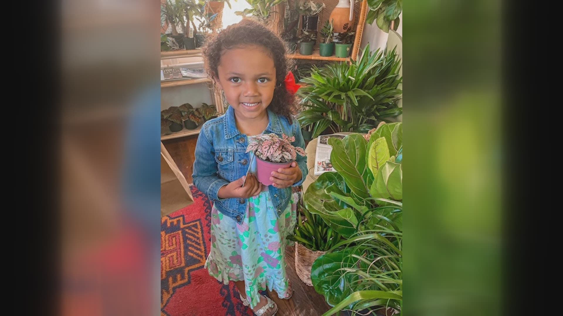 The Plant Project is the first Black woman-owned plant shop in Dallas. Founder Bree Clarke says it was created to celebrate community, culture, and plants.
