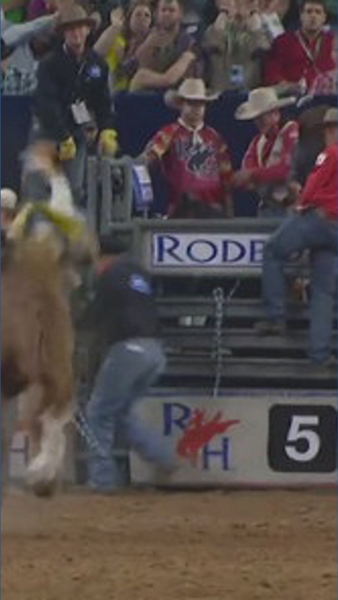 Houston Rodeo begins today, running through March 22 | wfaa.com