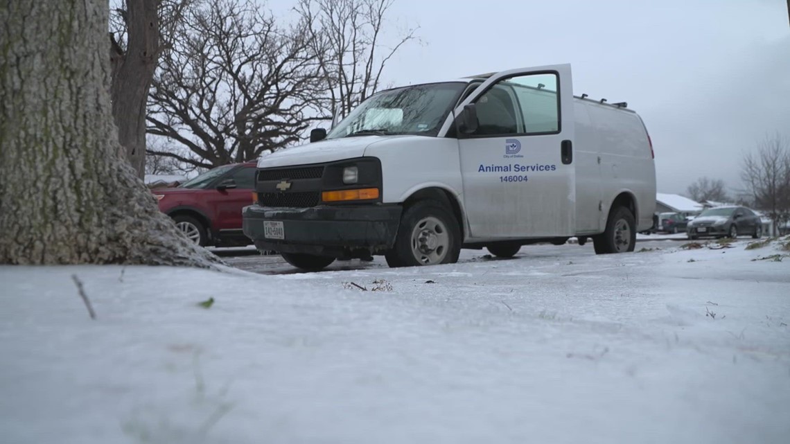 Dallas ice storm: Animal Services respond to calls regarding concerns for pets