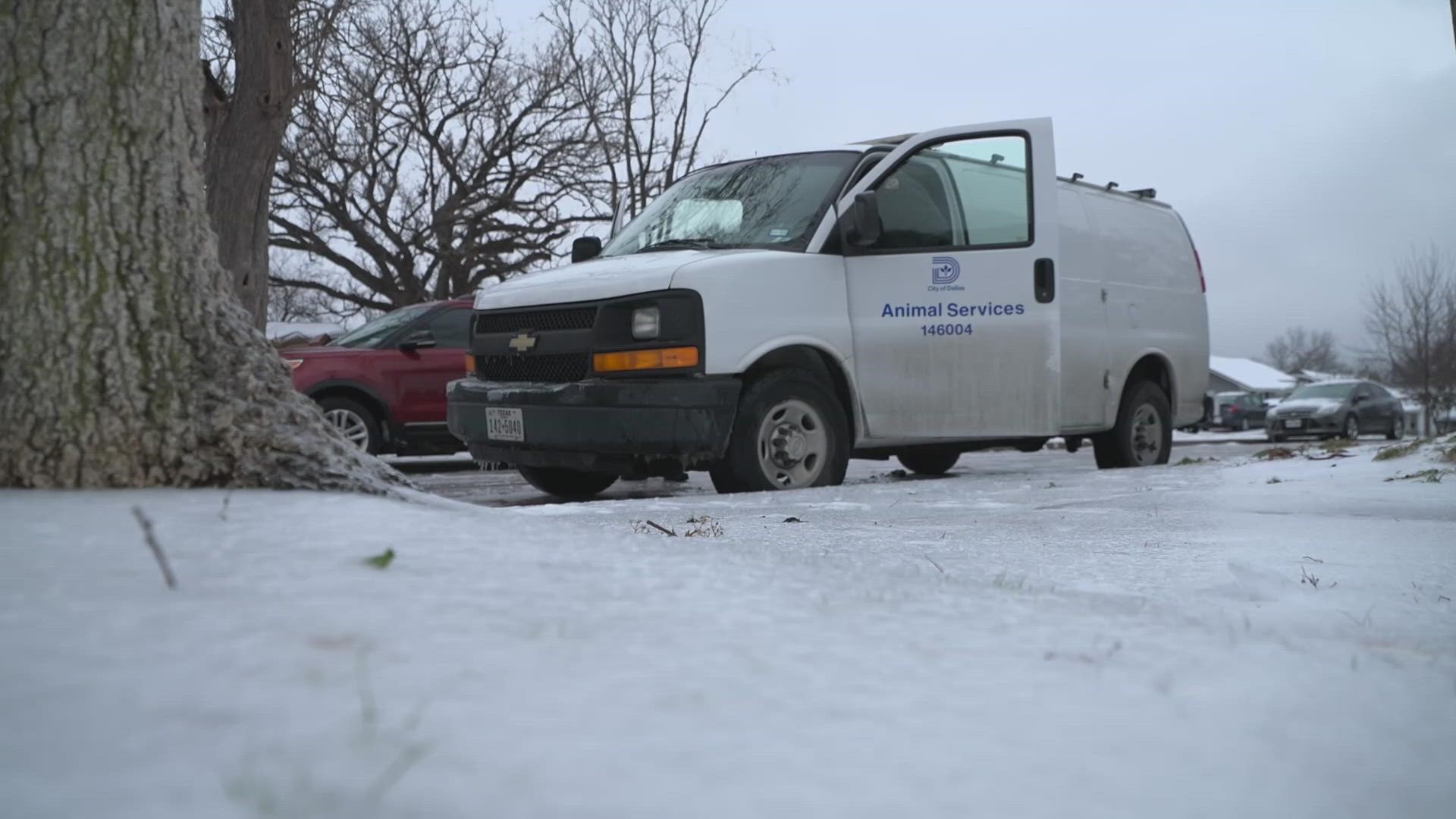 WFAA tagged along with Dallas Animal Services as they responded to calls about pets in the cold