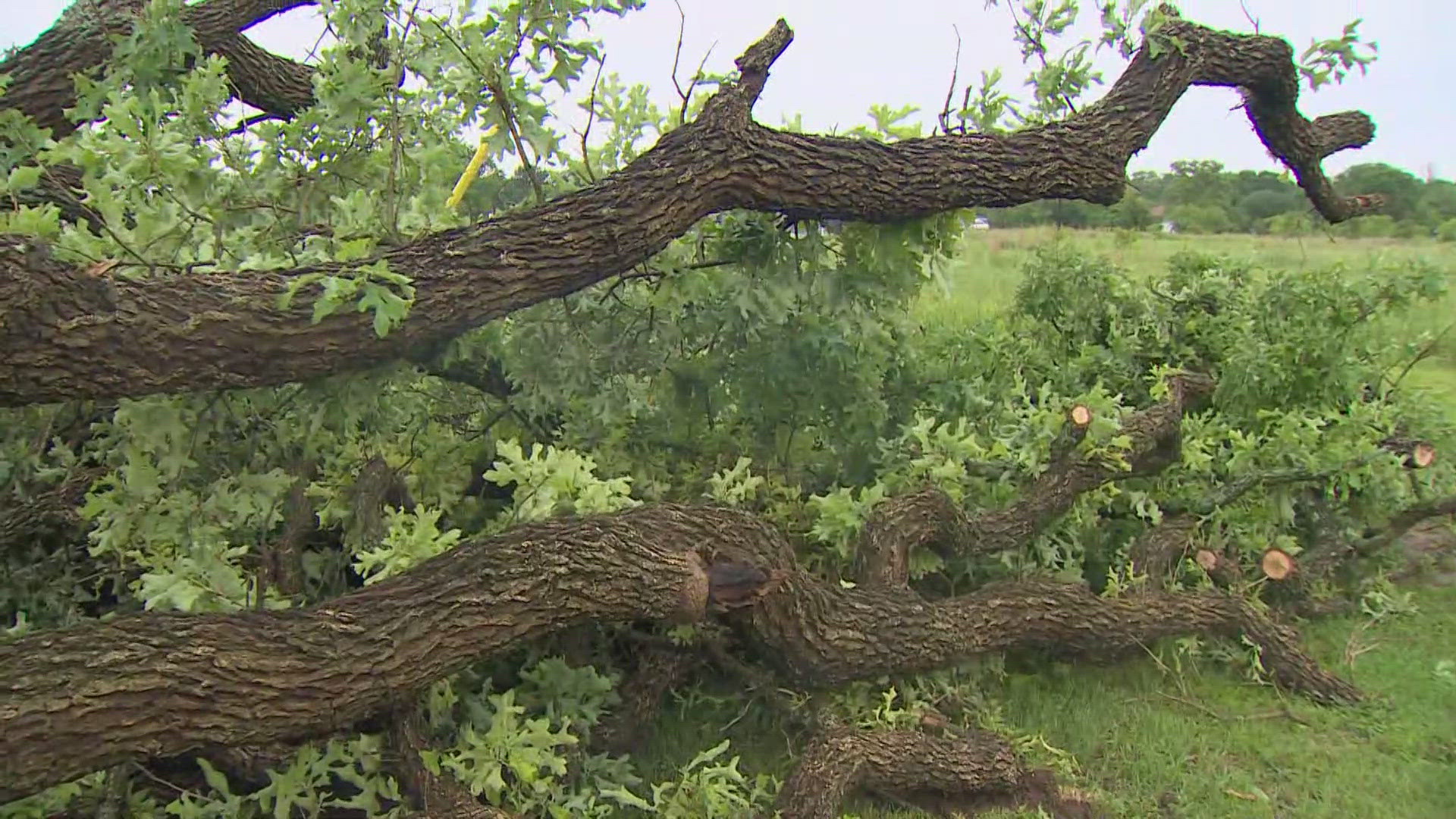 No injuries have been reported, but there have been reports of damage and uprooted trees.