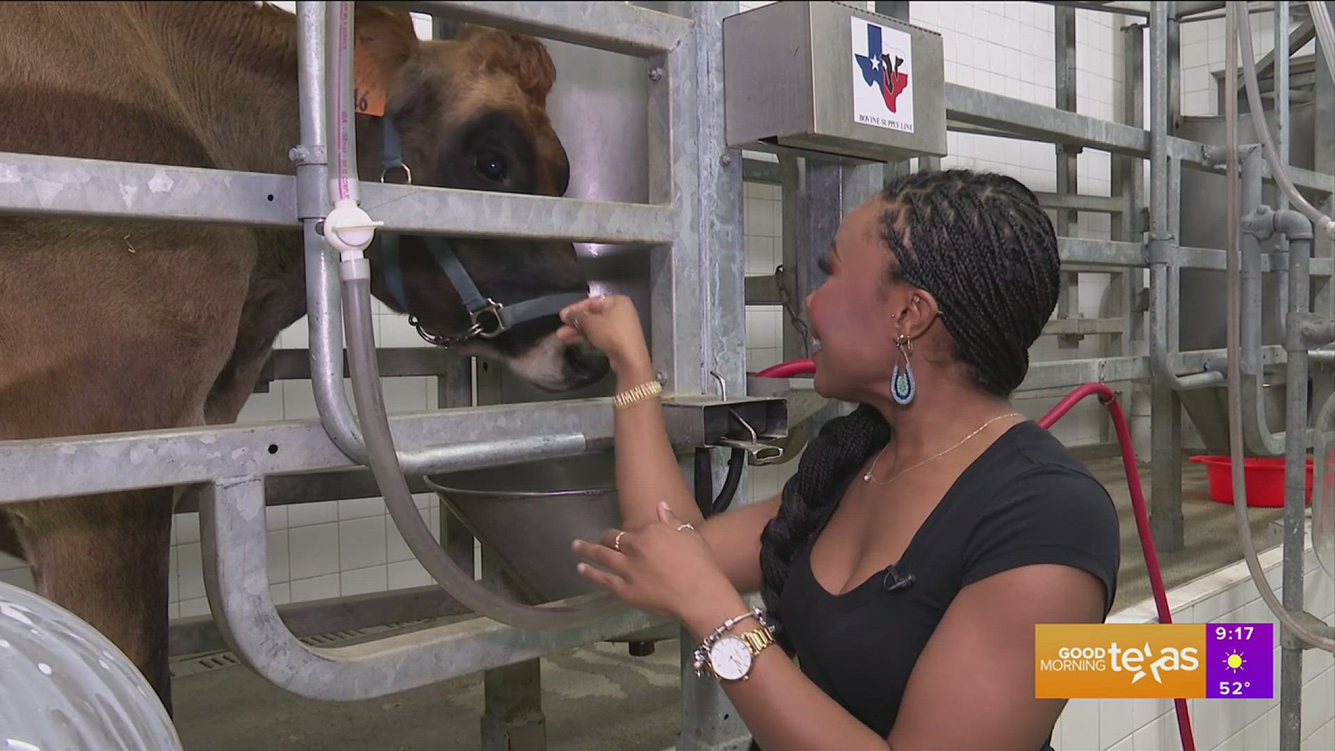 Employing Erin at the Fort Worth Stock Show & Rodeo