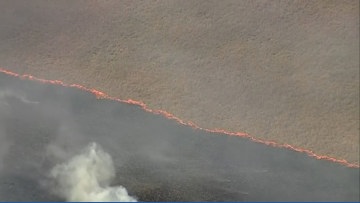 Work by WFAA-TV