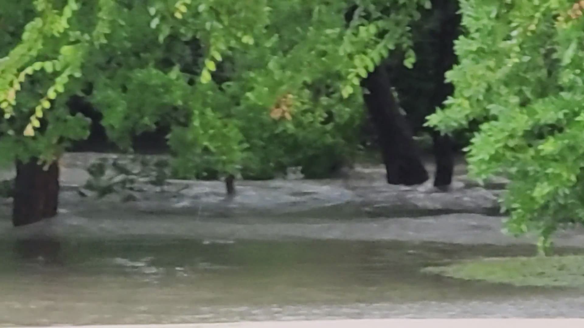 This was completely underwater.
Credit: Julie Cain