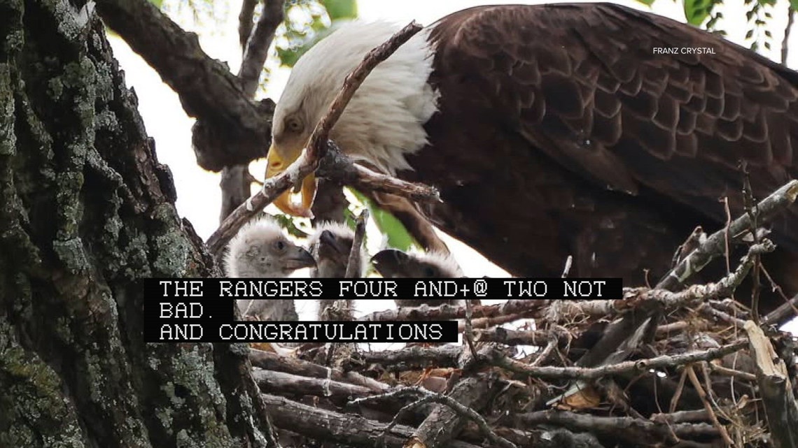 Dallas asks visitors to keep distance as White Rock Lake eaglets learn to fly