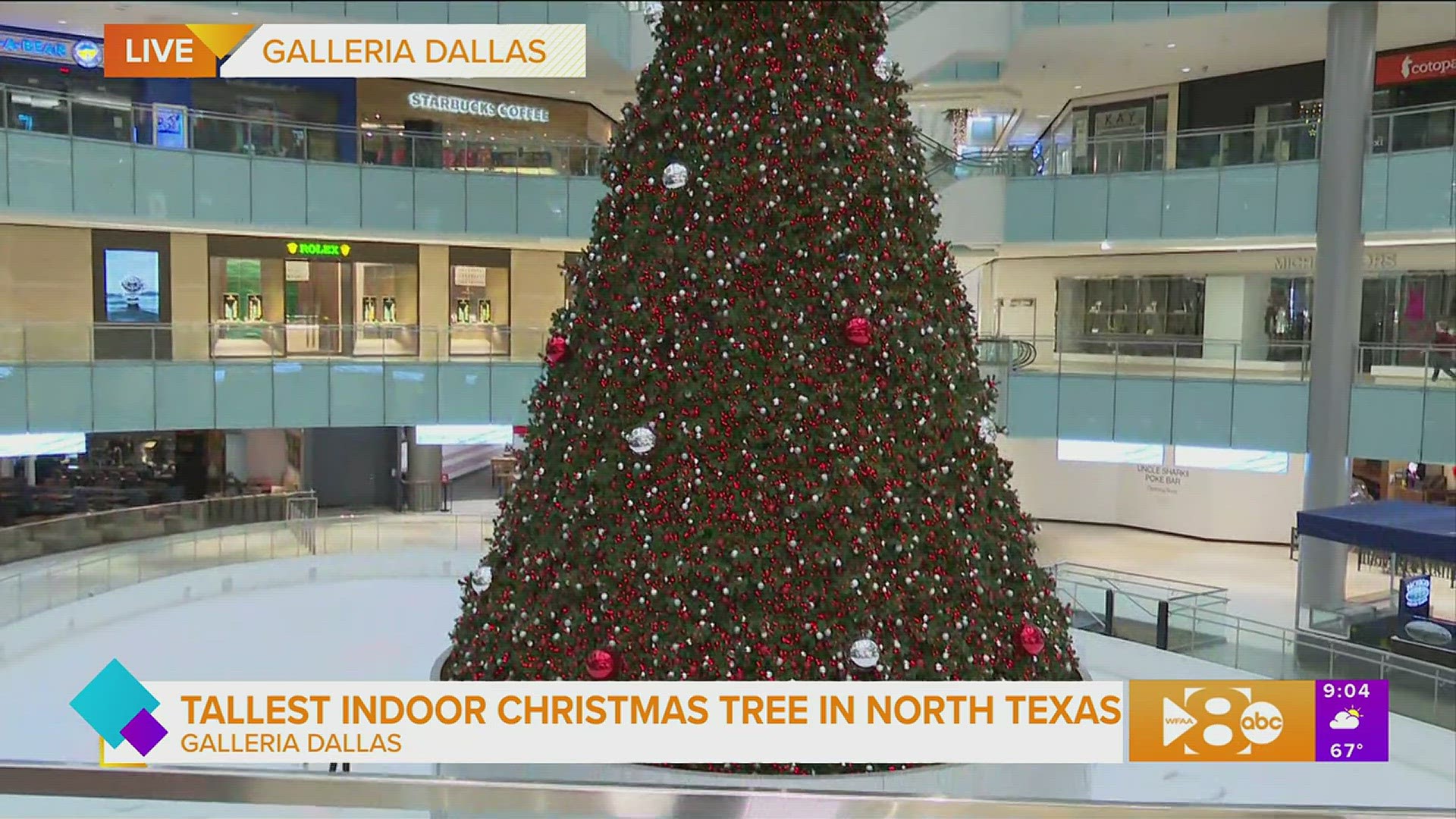 The Galleria Tree is back! Paige gives us an exclusive behind the scenes look on how this tree is brought to life.