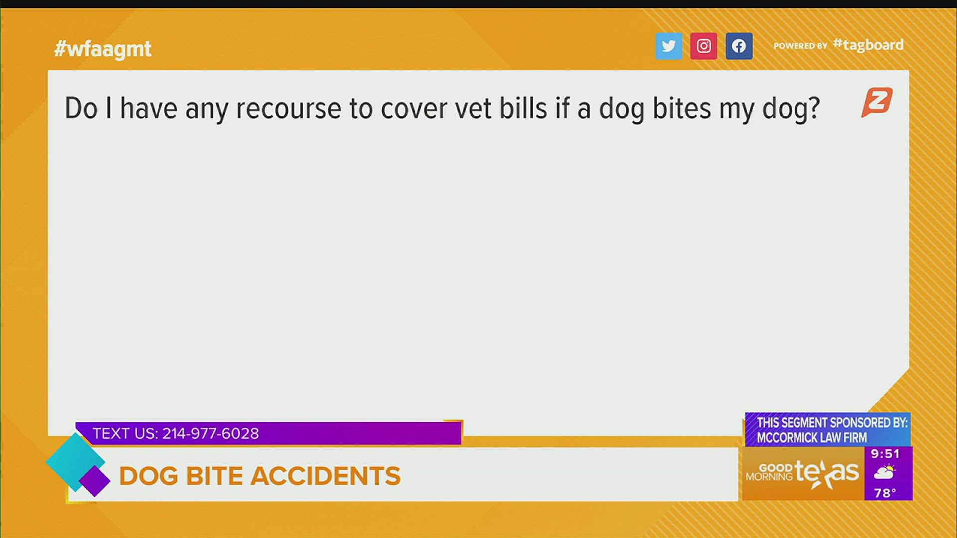 How Do You Protect Yourself From A Dog Bite