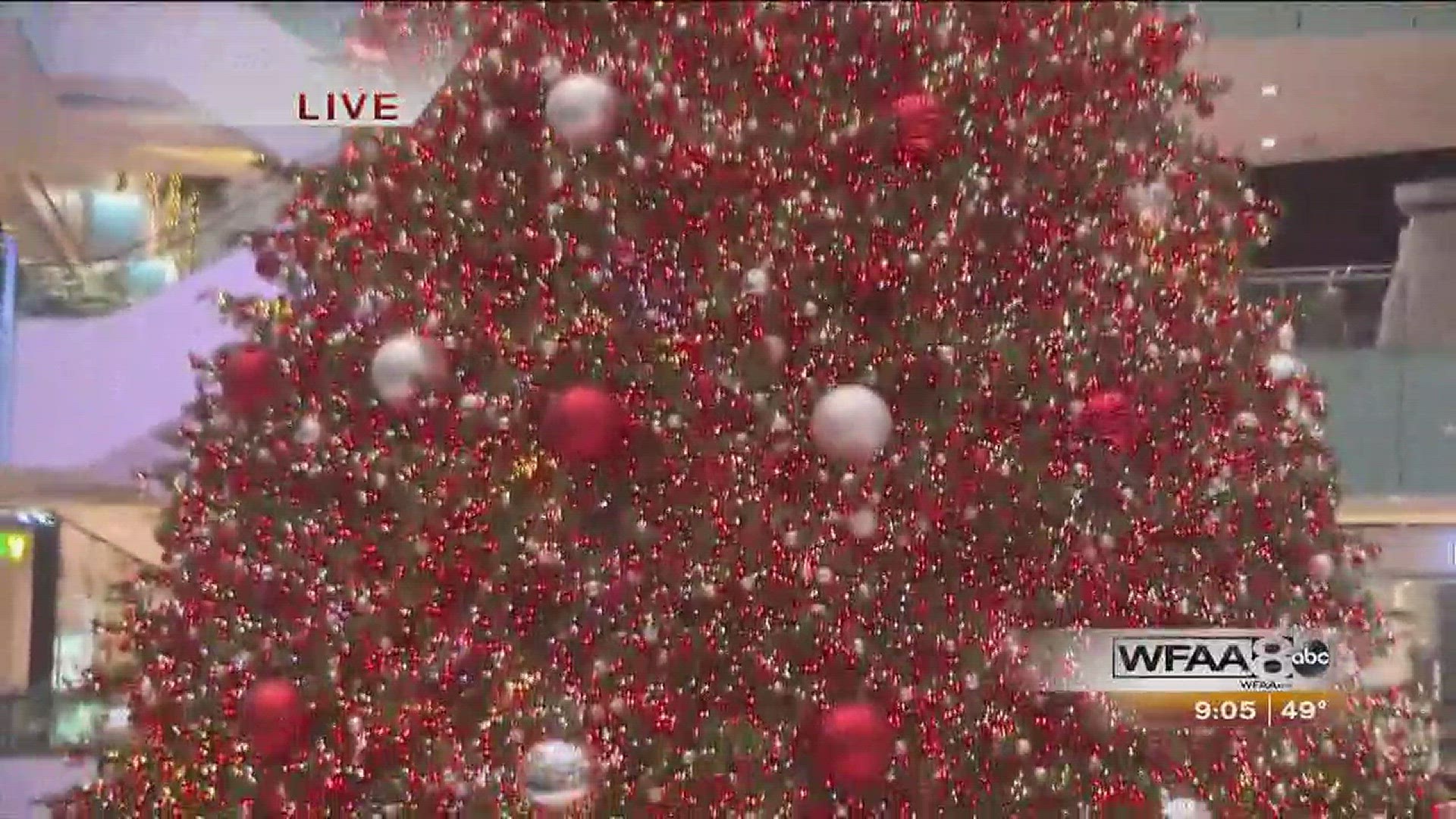 We get the first look at the traditional Galleria Dallas Christmas Tree Lighting.