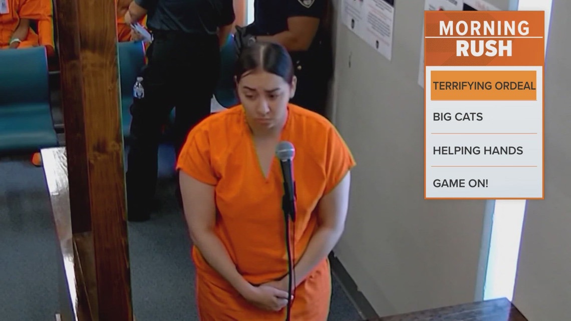 Pregnant woman stabbed by pizza delivery driver over $2 tip: Sheriff's ...