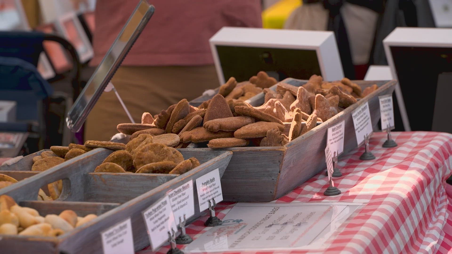 Here's how Susie's Snack Shop in Denton, Texas is uplifting the community one treat at a time. 