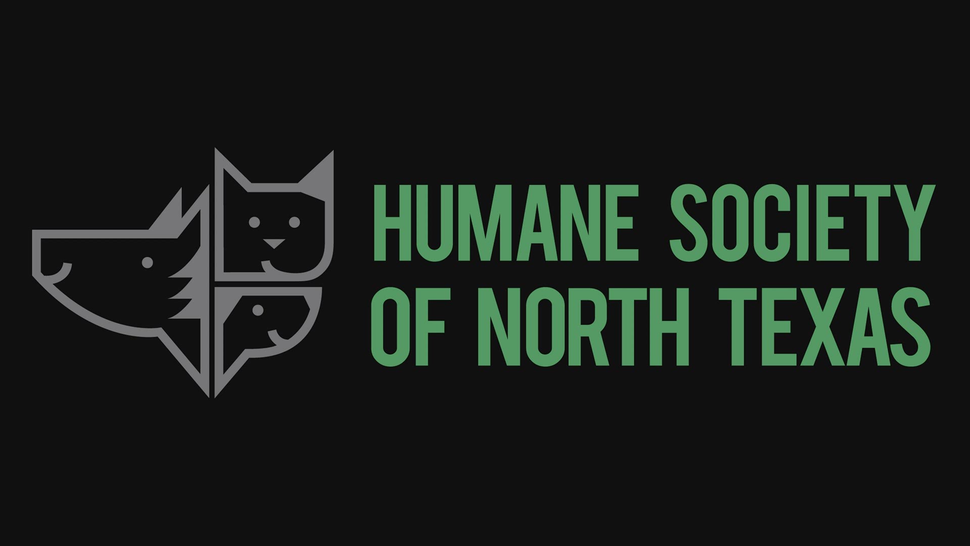 In May, the Humane Society of North Texas flew more than 140 animals from foster care to Waukesha's Humane Animal Welfare Society.