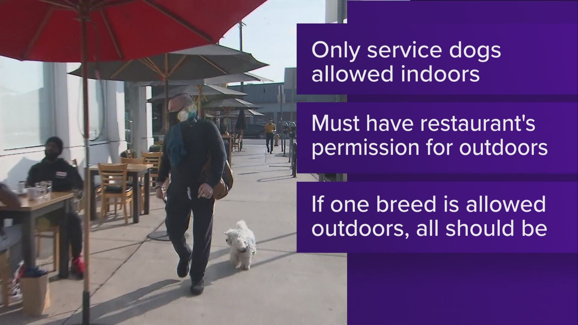 Are Dogs Allowed Outside Restaurants